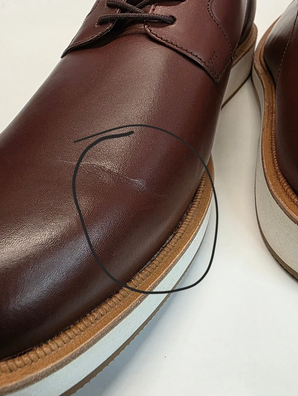 New Benson Derby Oxford Casual Allen Edmonds Brown Leather  Men's Size 12D